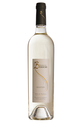 Copie de blanc exception sm