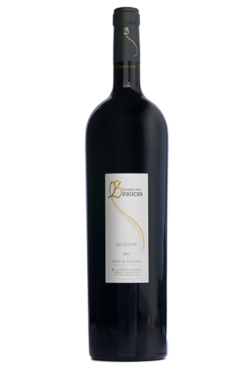 Rouge Magnum Exception