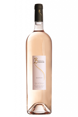 Rosé 2023 Magnum Cuvée Exception